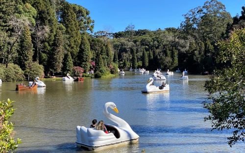 Transporte Lago Negro